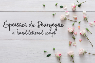 PN Époisses De Bourgogne: A Bouncy Script Font for Web Design